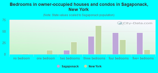 Bedrooms in owner-occupied houses and condos in Sagaponack, New York