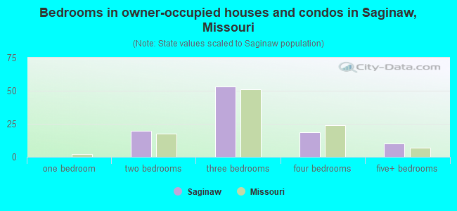 Bedrooms in owner-occupied houses and condos in Saginaw, Missouri