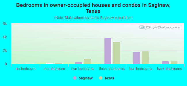 Bedrooms in owner-occupied houses and condos in Saginaw, Texas
