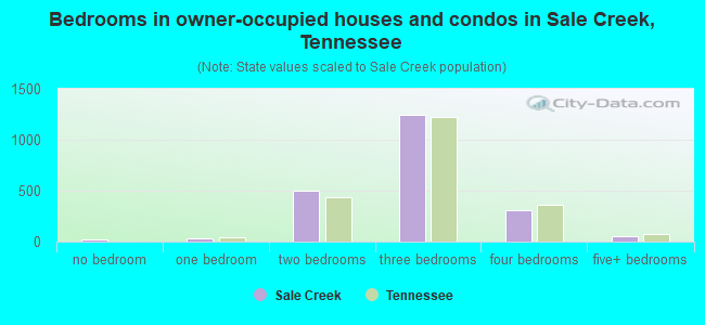 Bedrooms in owner-occupied houses and condos in Sale Creek, Tennessee