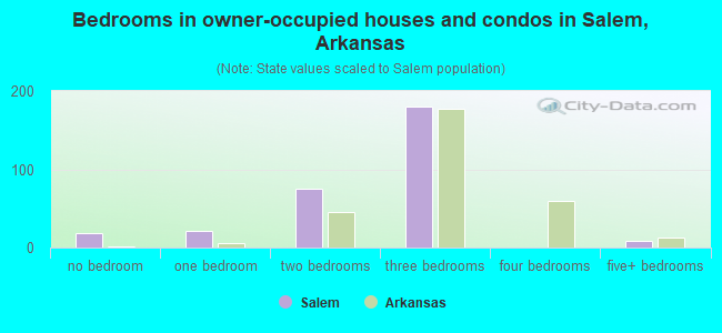 Bedrooms in owner-occupied houses and condos in Salem, Arkansas