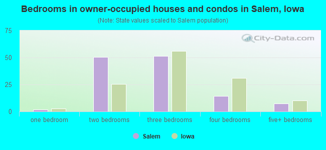 Bedrooms in owner-occupied houses and condos in Salem, Iowa