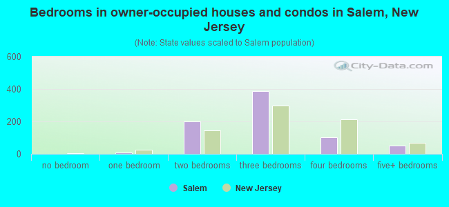 Bedrooms in owner-occupied houses and condos in Salem, New Jersey