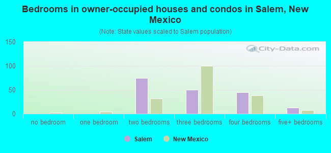 Bedrooms in owner-occupied houses and condos in Salem, New Mexico