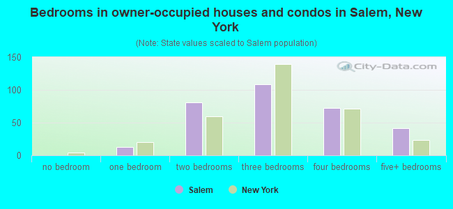 Bedrooms in owner-occupied houses and condos in Salem, New York