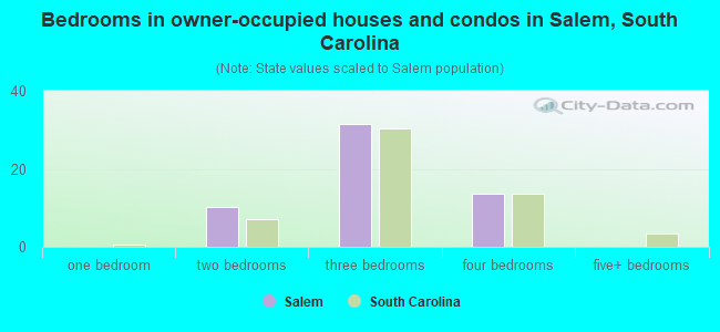 Bedrooms in owner-occupied houses and condos in Salem, South Carolina