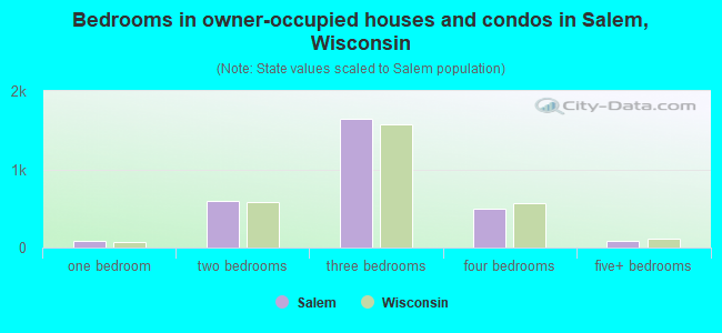 Bedrooms in owner-occupied houses and condos in Salem, Wisconsin