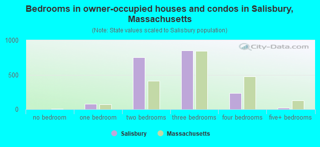 Bedrooms in owner-occupied houses and condos in Salisbury, Massachusetts