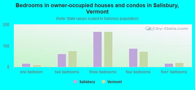 Bedrooms in owner-occupied houses and condos in Salisbury, Vermont