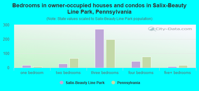 Bedrooms in owner-occupied houses and condos in Salix-Beauty Line Park, Pennsylvania