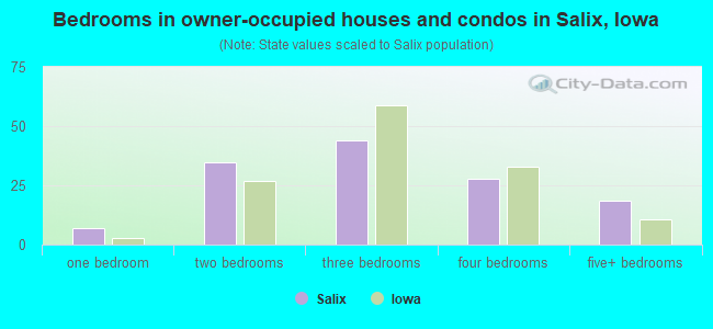 Bedrooms in owner-occupied houses and condos in Salix, Iowa