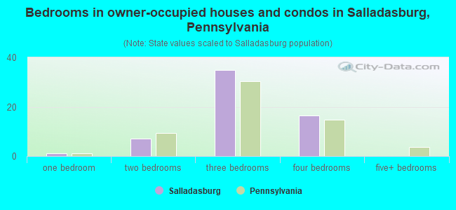 Bedrooms in owner-occupied houses and condos in Salladasburg, Pennsylvania