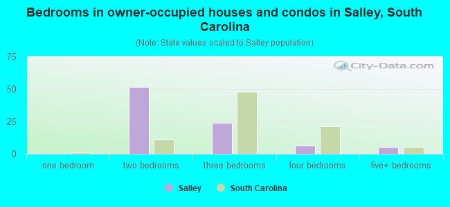 Bedrooms in owner-occupied houses and condos in Salley, South Carolina