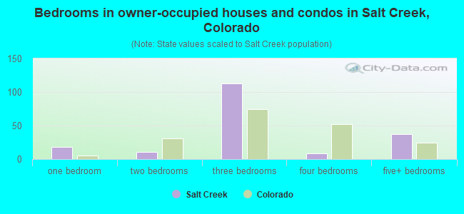 Bedrooms in owner-occupied houses and condos in Salt Creek, Colorado