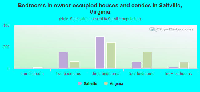 Bedrooms in owner-occupied houses and condos in Saltville, Virginia