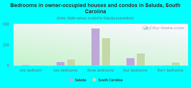 Bedrooms in owner-occupied houses and condos in Saluda, South Carolina