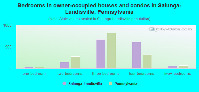 Bedrooms in owner-occupied houses and condos in Salunga-Landisville, Pennsylvania
