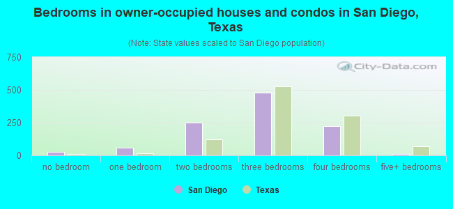 Bedrooms in owner-occupied houses and condos in San Diego, Texas