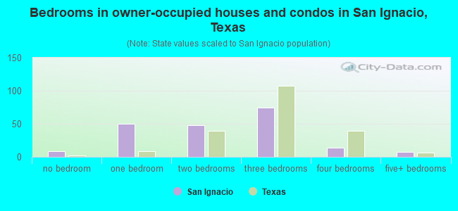 Bedrooms in owner-occupied houses and condos in San Ignacio, Texas