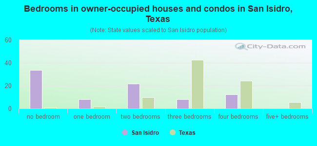 Bedrooms in owner-occupied houses and condos in San Isidro, Texas