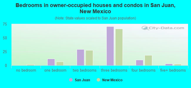 Bedrooms in owner-occupied houses and condos in San Juan, New Mexico