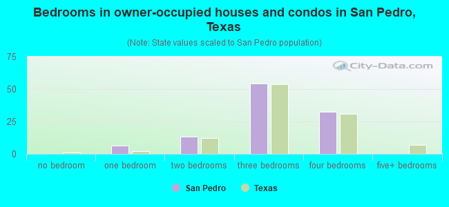Bedrooms in owner-occupied houses and condos in San Pedro, Texas