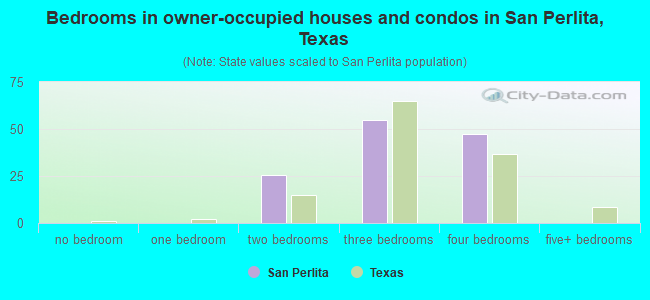 Bedrooms in owner-occupied houses and condos in San Perlita, Texas