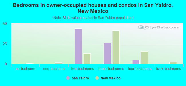 Bedrooms in owner-occupied houses and condos in San Ysidro, New Mexico