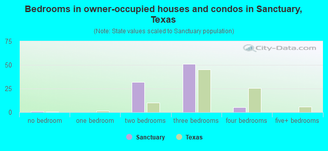 Bedrooms in owner-occupied houses and condos in Sanctuary, Texas