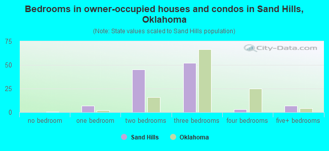 Bedrooms in owner-occupied houses and condos in Sand Hills, Oklahoma