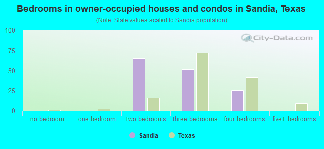 Bedrooms in owner-occupied houses and condos in Sandia, Texas