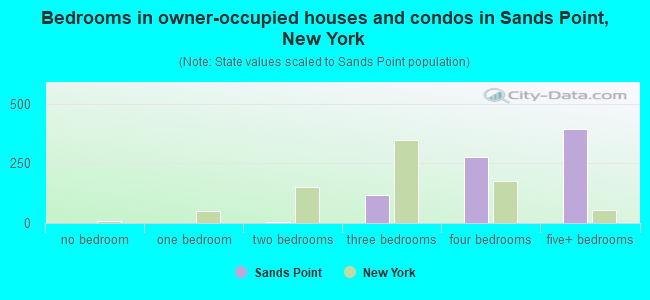 Bedrooms in owner-occupied houses and condos in Sands Point, New York