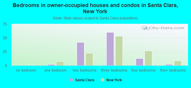 Bedrooms in owner-occupied houses and condos in Santa Clara, New York