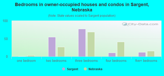 Bedrooms in owner-occupied houses and condos in Sargent, Nebraska