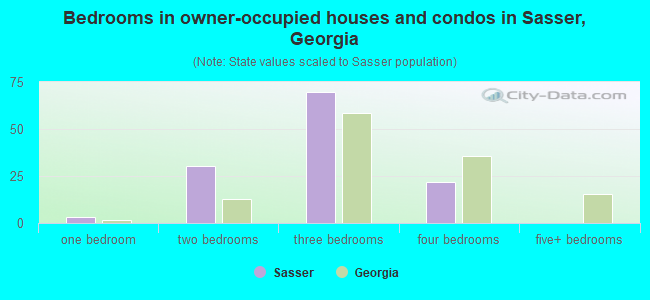 Bedrooms in owner-occupied houses and condos in Sasser, Georgia