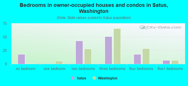 Bedrooms in owner-occupied houses and condos in Satus, Washington