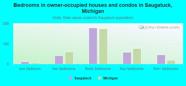 Bedrooms in owner-occupied houses and condos in Saugatuck, Michigan