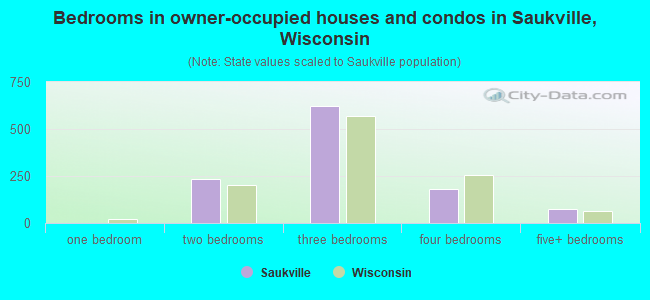Bedrooms in owner-occupied houses and condos in Saukville, Wisconsin