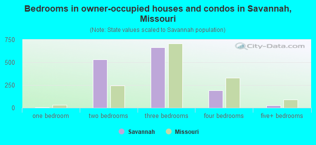 Bedrooms in owner-occupied houses and condos in Savannah, Missouri