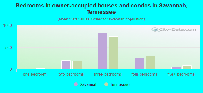 Bedrooms in owner-occupied houses and condos in Savannah, Tennessee