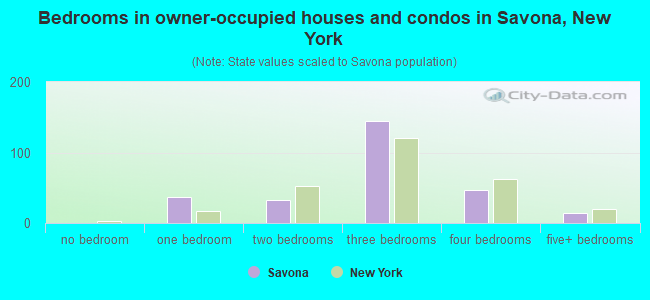 Bedrooms in owner-occupied houses and condos in Savona, New York