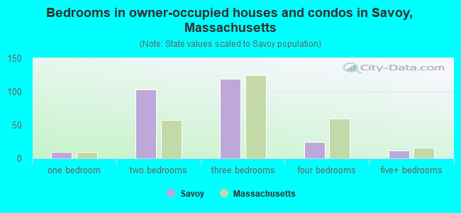 Bedrooms in owner-occupied houses and condos in Savoy, Massachusetts