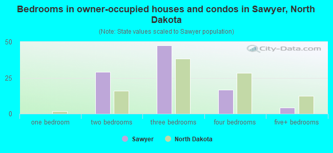 Bedrooms in owner-occupied houses and condos in Sawyer, North Dakota