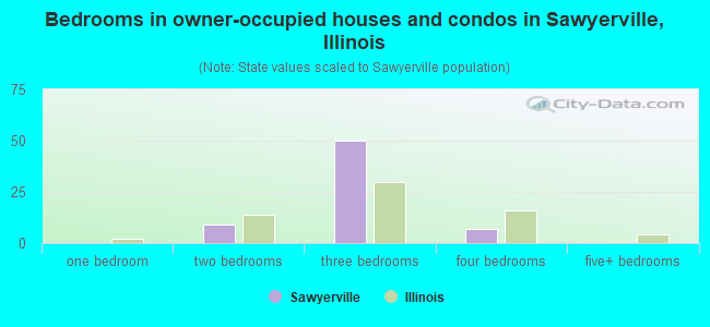 Bedrooms in owner-occupied houses and condos in Sawyerville, Illinois