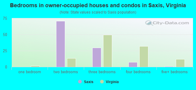 Bedrooms in owner-occupied houses and condos in Saxis, Virginia