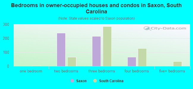 Bedrooms in owner-occupied houses and condos in Saxon, South Carolina