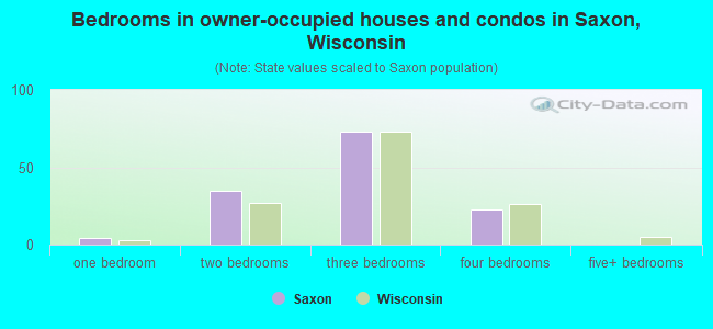 Bedrooms in owner-occupied houses and condos in Saxon, Wisconsin