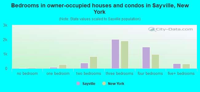 Bedrooms in owner-occupied houses and condos in Sayville, New York