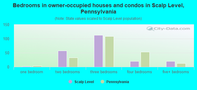 Bedrooms in owner-occupied houses and condos in Scalp Level, Pennsylvania