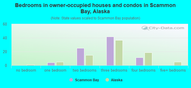 Bedrooms in owner-occupied houses and condos in Scammon Bay, Alaska